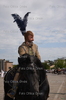 Immagine <b>REG_8220</b>
